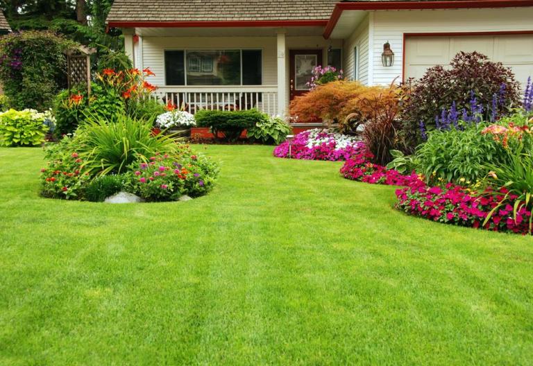 Entretien de jardin, les gestes essentiels pour chaque saison